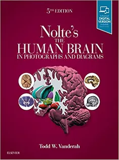 The Human Brain in Photographs and Diagrams