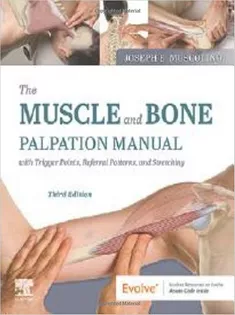 The Muscle and Bone Palpation Manual with Trigger Points, Referral Patterns and Stretching