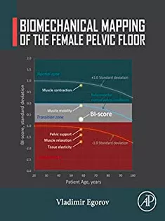 Biomechanical Mapping of the Female Pelvic Floor