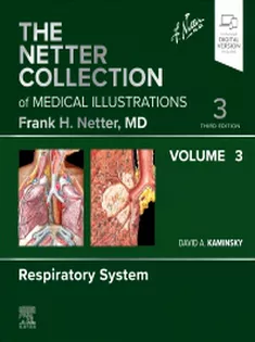 The Netter Collection of Medical Illustrations,Vol.3 Respiratory System
