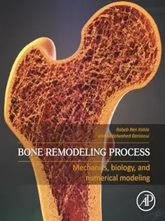Bone Remodeling Process: Mechanics, Biology, and Numerical Modeling
