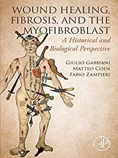WOUND HEALING, FIBROSIS, AND THE MYOFIBROBLAST: A Historical and Biological Perspective