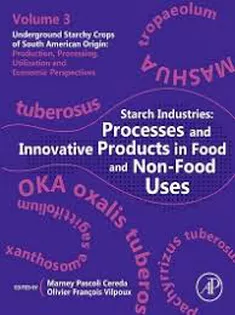 Starch Industries: Processes and Innovative Products in Food and Non-Food Uses