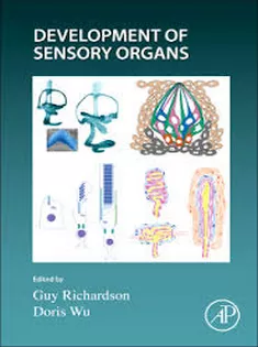 Development of the Senses