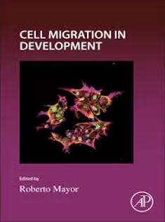 Cell Migration in Development