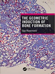 The Geometric Induction of Bone Formation