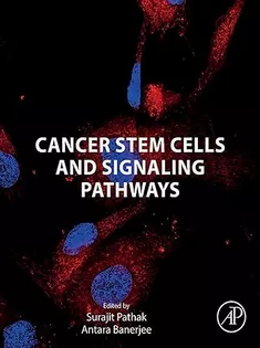 Cancer Stem Cells and Signaling Pathways