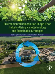 Environmental Remediation in Agri-Food Industry Using Nanotechnology and Sustainable Strategies