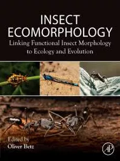 Insect Ecomorphology Linking Functional Insect Morphology to Ecology and Evolution