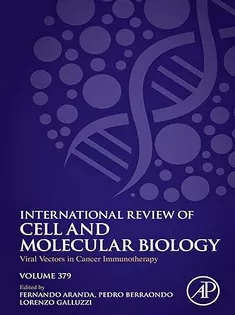 Viral Vectors in Cancer Immunotherapy