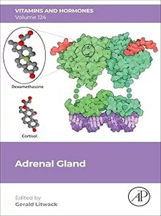 Adrenal Gland (Volume 124) (Vitamins and Hormones, Volume 124)