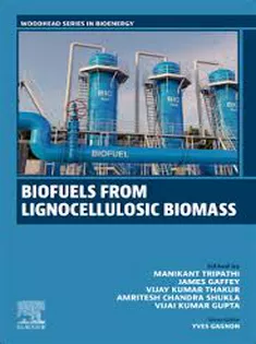 Biofuels and Bioproducts from Lignocellulosic Materials