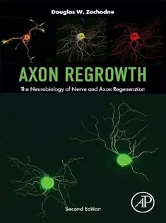 Axon Regrowth: The Neurobiology of Nerve and Axon Regeneratio