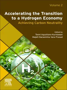Accelerating the Transition to A Hydrogen Economy