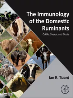 The Immunology of the Domestic Ruminants Cattle, Sheep, and Goats
