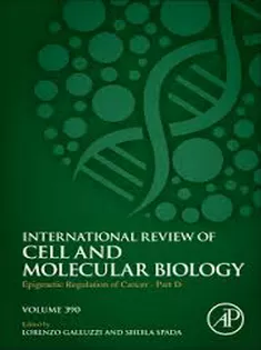 Epigenetic Regulation of Cancer
