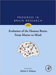 Evolution of the Human Brain: From Matter to Mind