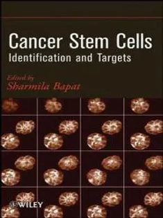 Cancer Stem Cells: Identification and Targets