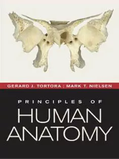 Principles of Human Anatomy