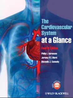 The Cardiovascular System at A Glance