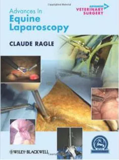 Advances In Equine Laparoscopy