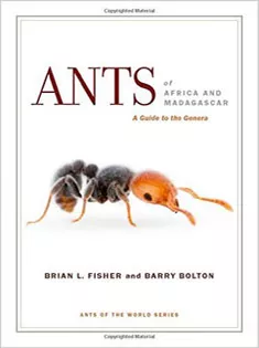 Ants of Africa and Madagascar: A Guide to the Genera