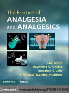 The Essence of Analgesia and Analgesics