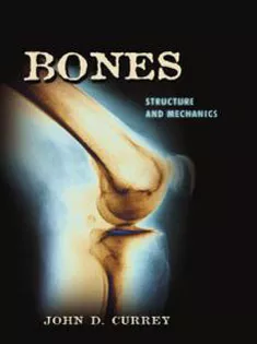 Bones: Structure and Mechanics