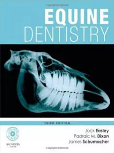 Equine Dentistry