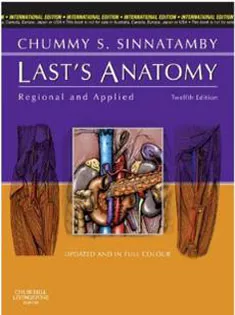 Last's Anatomy