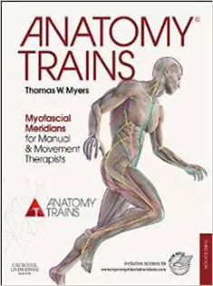 Anatomy Trains: Myofascial Meridians for Manual and Movement Therapists