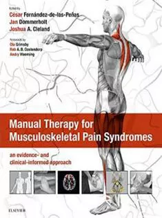 Manual Therapy for Musculoskeletal Pain Syndromes