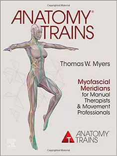 Anatomy Trains