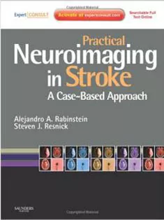 Practical Neuroimaging In Stroke: A Case-Based Approach