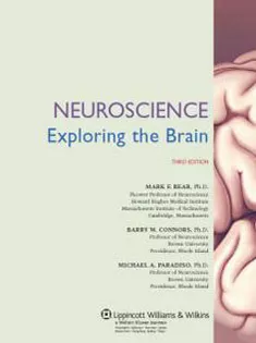 Neuroscience Exploring the Brain