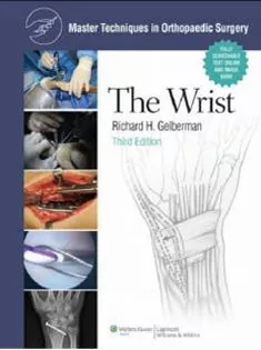 Master Techniques In Orthopaedic Surgery: The Wrist