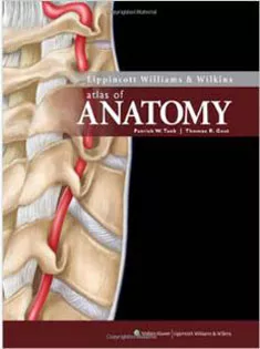 Lippincott Atlas Of Anatomy