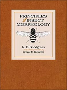 Principles of Insect Morphology