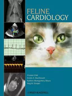 Feline Cardiology