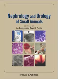 Nephrology and Urology of Small Animals