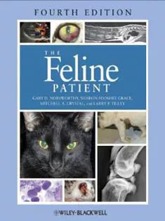Feline Patient