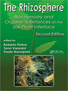 The Rhizosphere