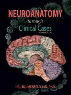 Neuroanatomy Through Clinical Cases