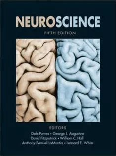 Neuroscience