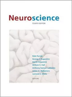 Neuroscience