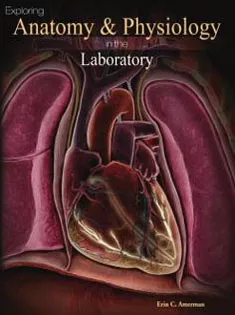 Exploring Anatomy & Physiology in the Laboratory