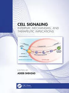 Cell Signaling Interplay, Mechanisms, and Therapeutic Implications
