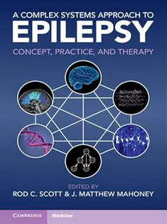 A Complex Systems Approach to Epilepsy: Concept, Practice, and Therapy
