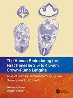 The Human Brain During the First Trimester Volume 1
