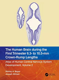 9781032183275 The Human Brain During the First Trimester Volume 2